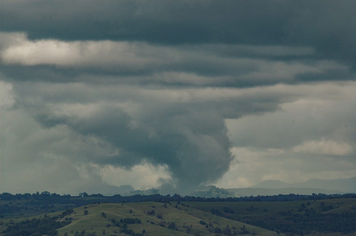 cumulonimbus thunderstorm_base : McLeans Ridges, NSW   21 February 2006