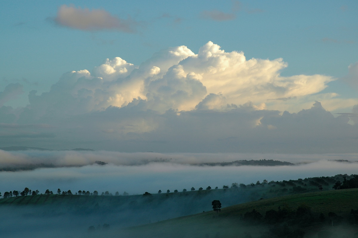 thunderstorm cumulonimbus_incus : McLeans Ridges, NSW   22 February 2006