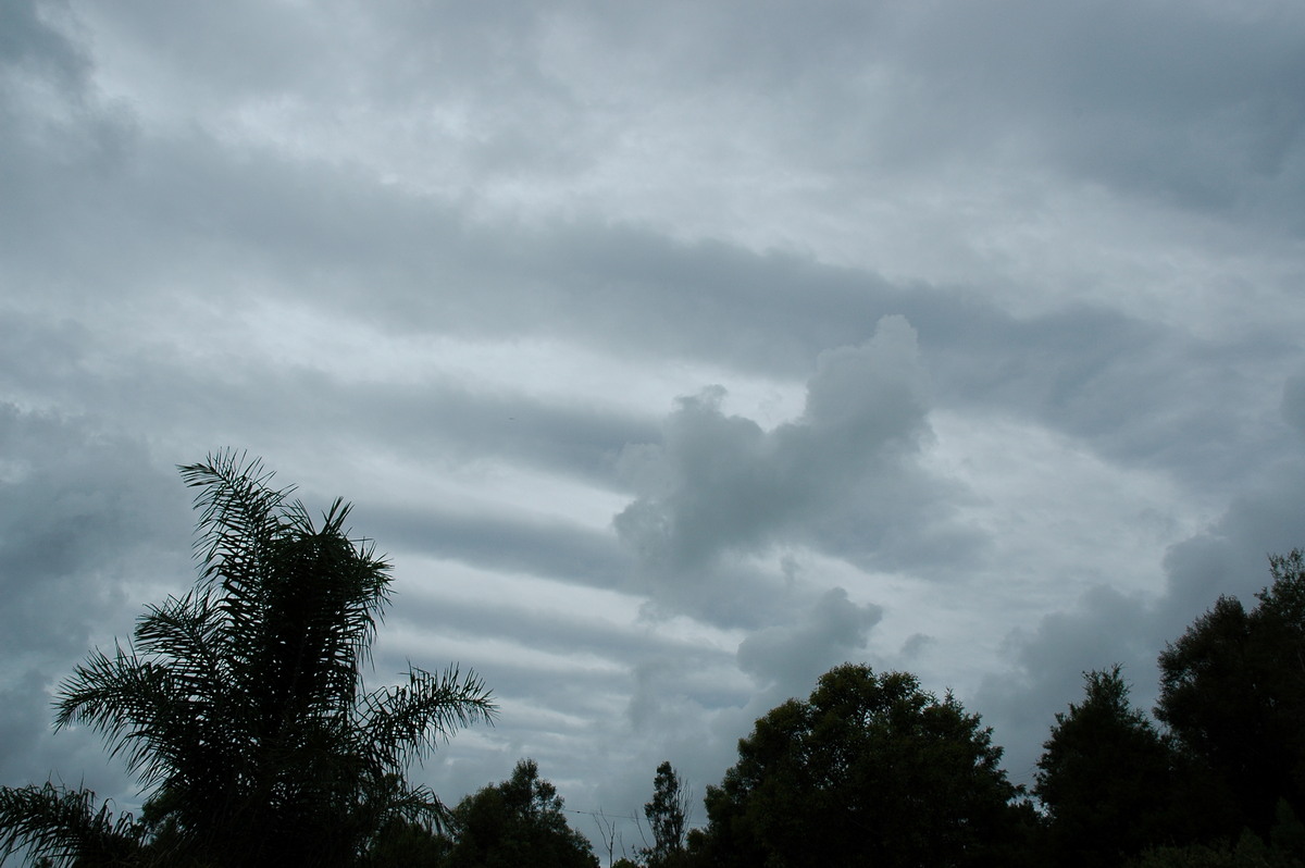 altocumulus undulatus : McLeans Ridges, NSW   2 March 2006