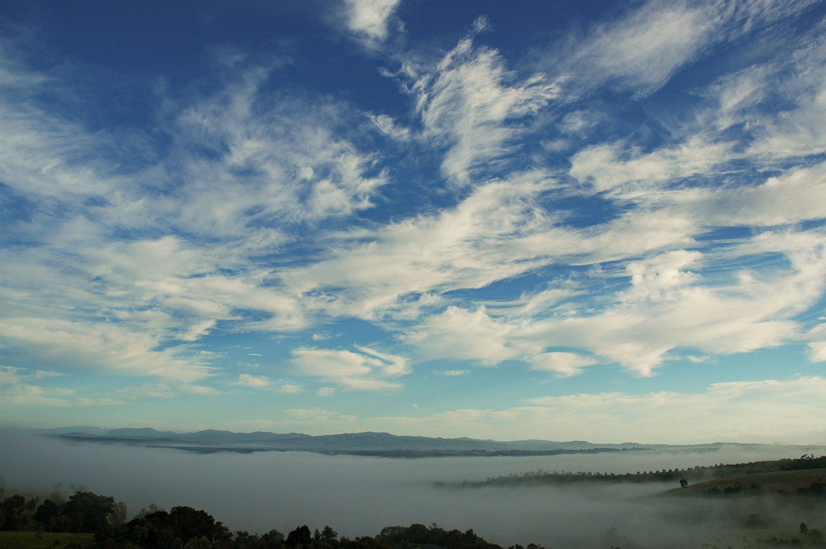 cirrus cirrus_cloud : McLeans Ridges, NSW   28 March 2006