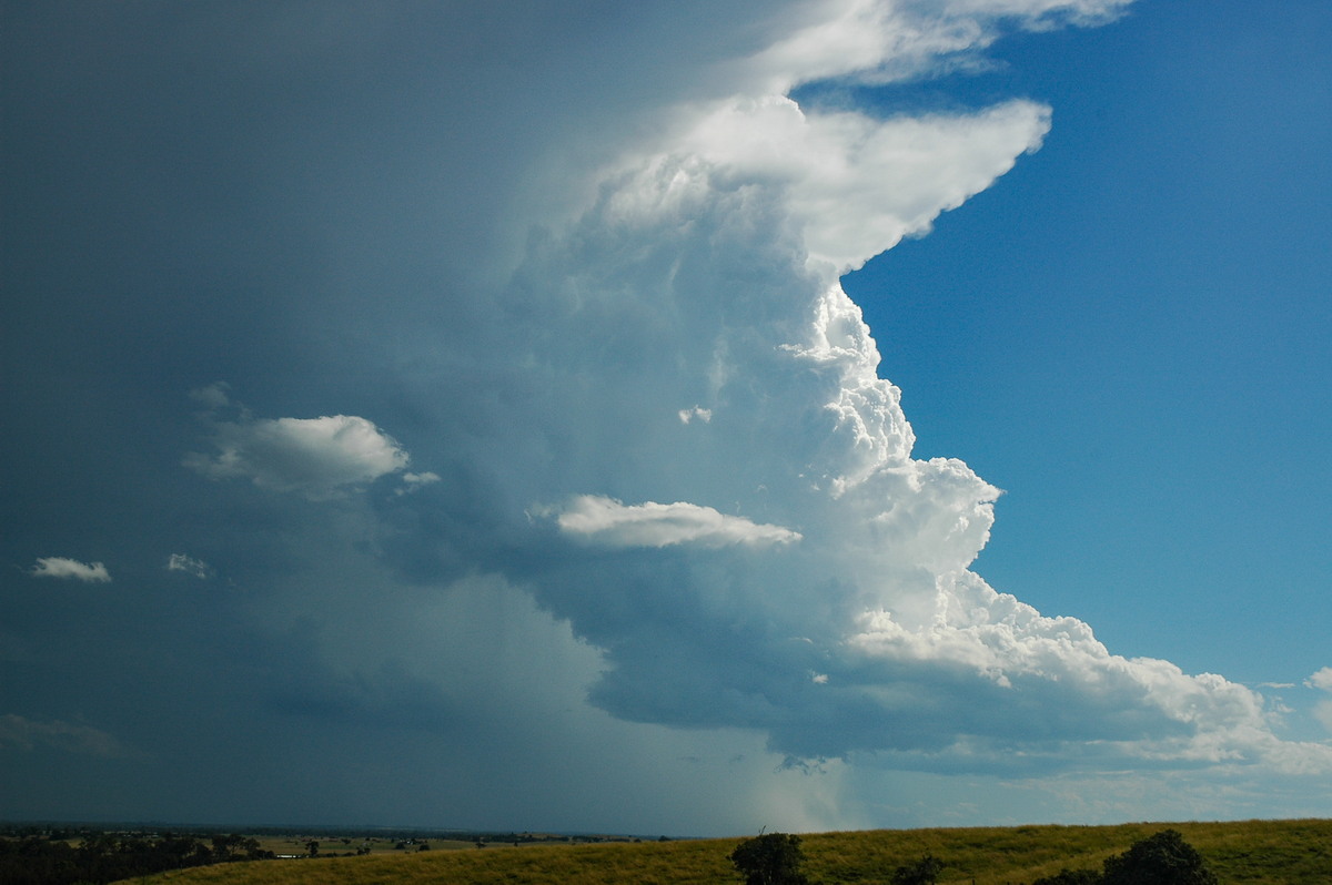 cumulonimbus thunderstorm_base : Parrots Nest, NSW   4 April 2006