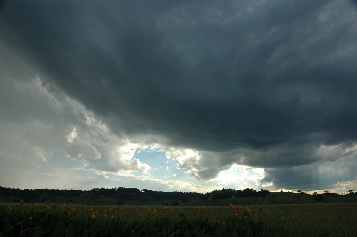 cumulonimbus thunderstorm_base : near Lismore, NSW   4 April 2006