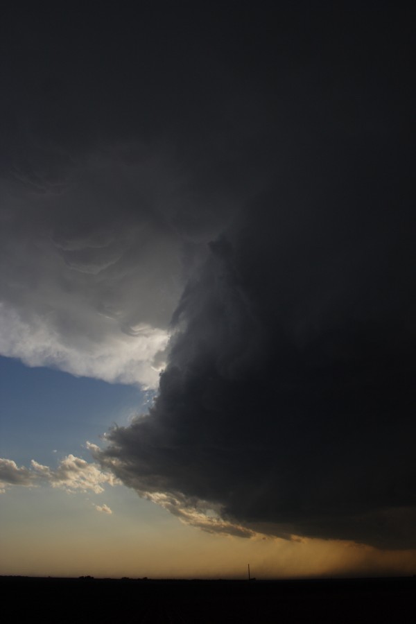 favourites jimmy_deguara : near Patricia, Texas, USA   5 May 2006