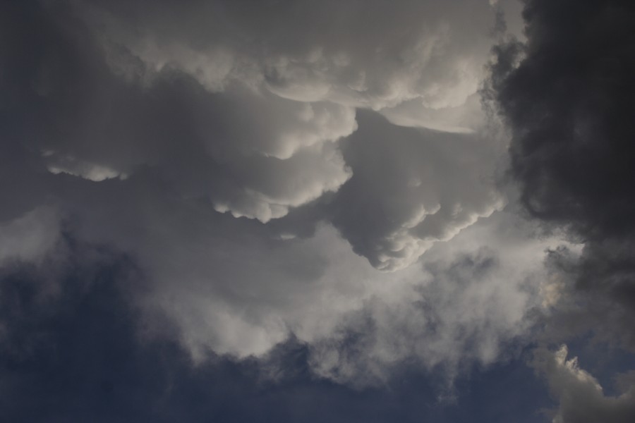 cumulonimbus thunderstorm_base : Patricia, Texas, USA   5 May 2006