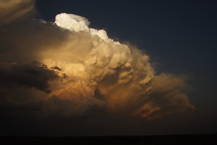 favourites jimmy_deguara : near Patricia, Texas, USA   5 May 2006