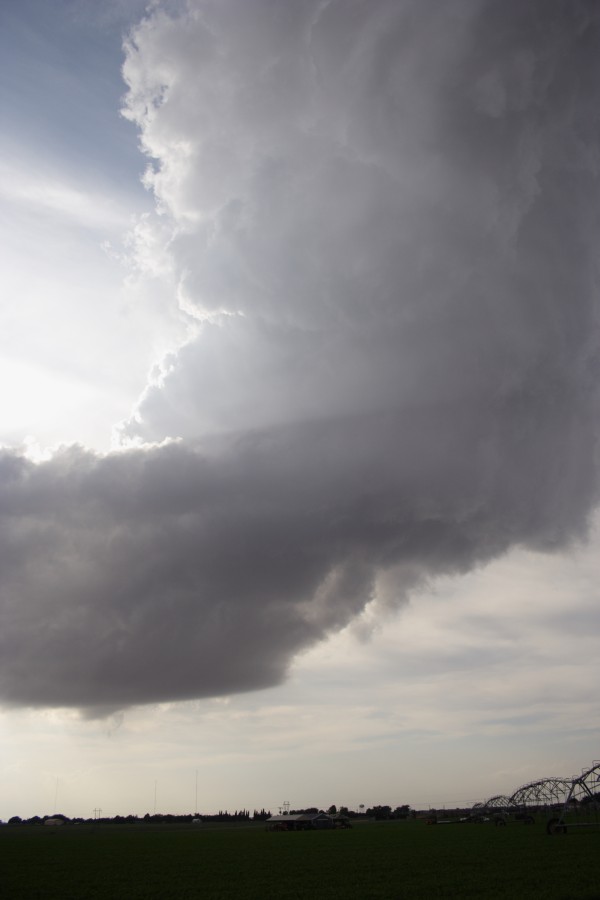 cumulonimbus thunderstorm_base : Lamesa, Texas, USA   7 May 2006