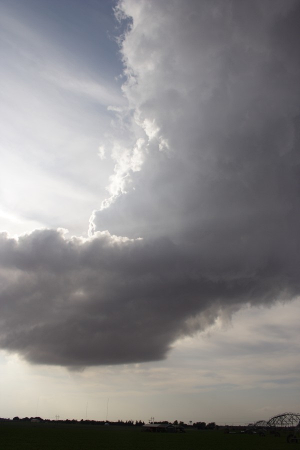 cumulonimbus thunderstorm_base : Lamesa, Texas, USA   7 May 2006