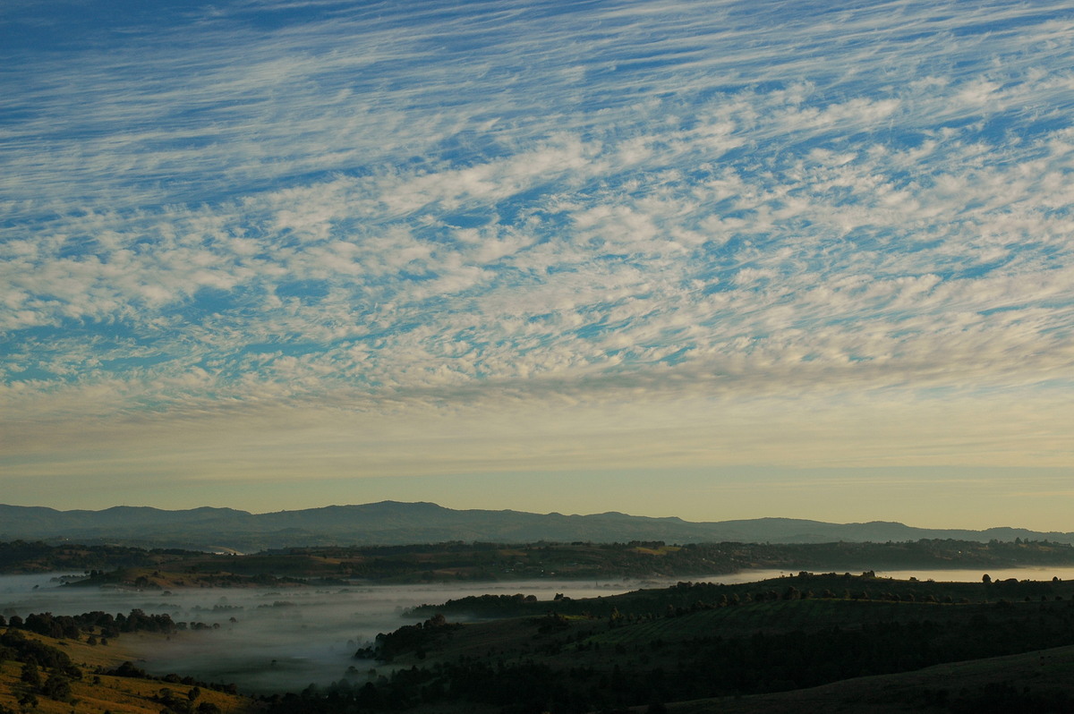 fogmist fog_mist_frost : McLeans Ridges, NSW   8 May 2006