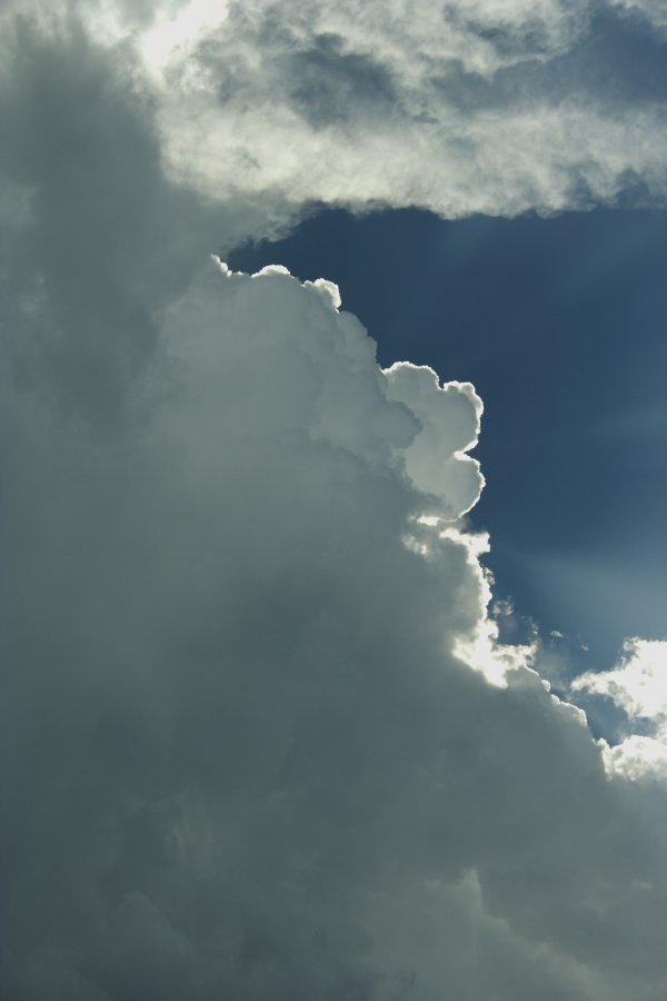 cumulus mediocris : S of Senora, Texas, USA   14 May 2006