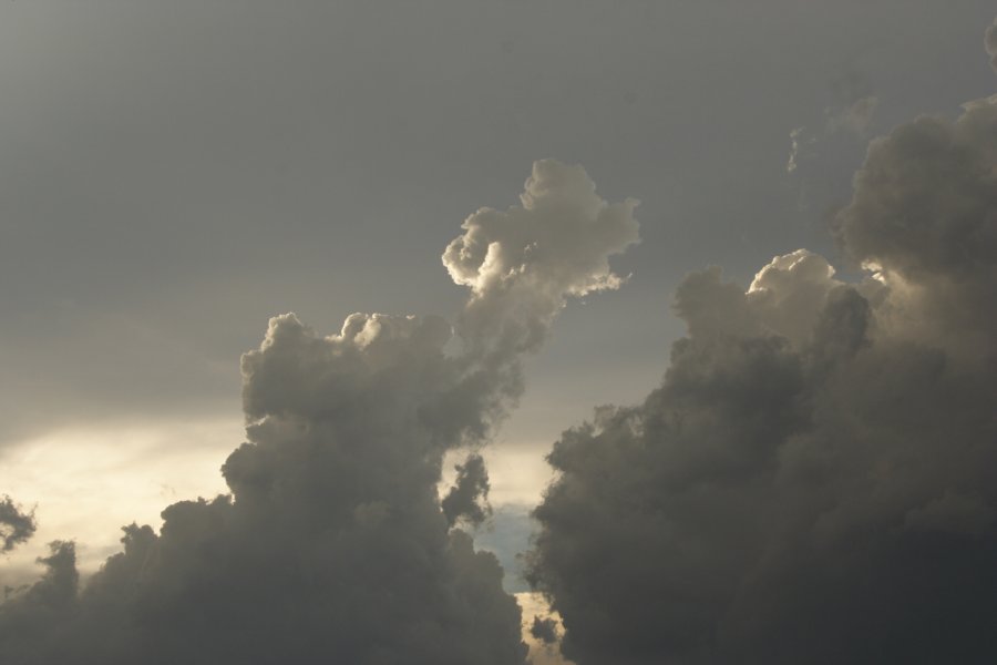 cumulus mediocris : Del Rio, Texas, USA   14 May 2006