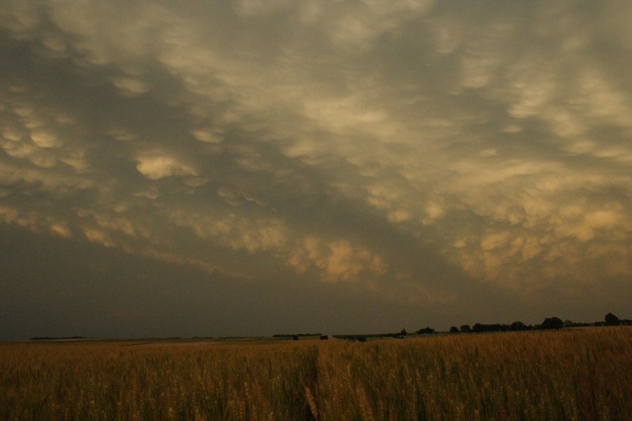 mammatus mammatus_cloud : SE of Kinsley, Kansas, USA   29 May 2006