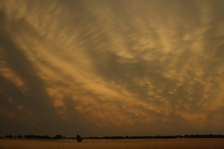 sunset sunset_pictures : SE of Kinsley, Kansas, USA   29 May 2006