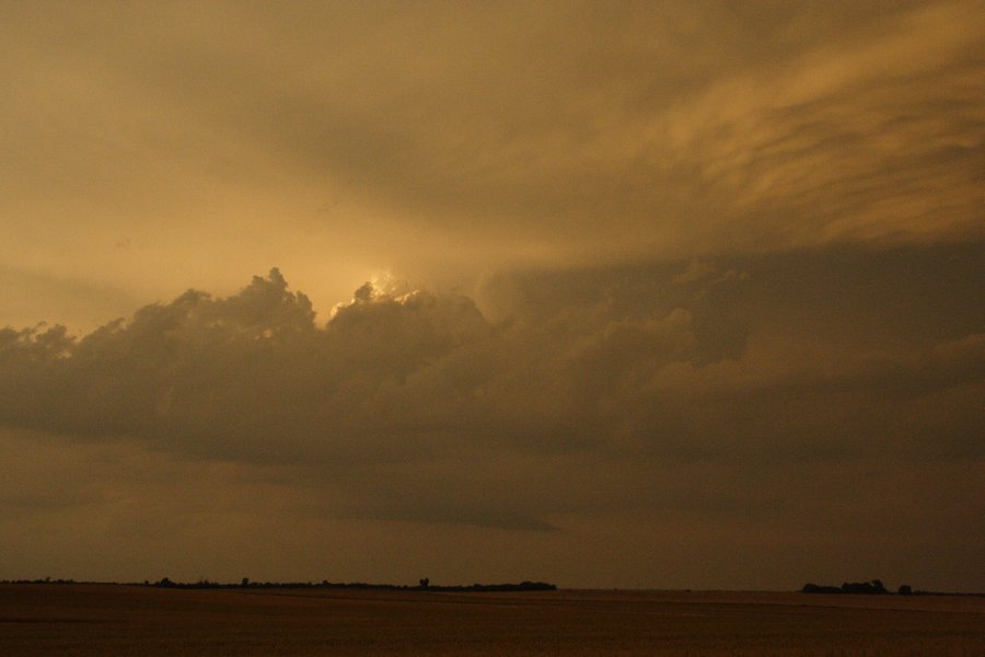 cumulus mediocris : SE of Kinsley, Kansas, USA   29 May 2006