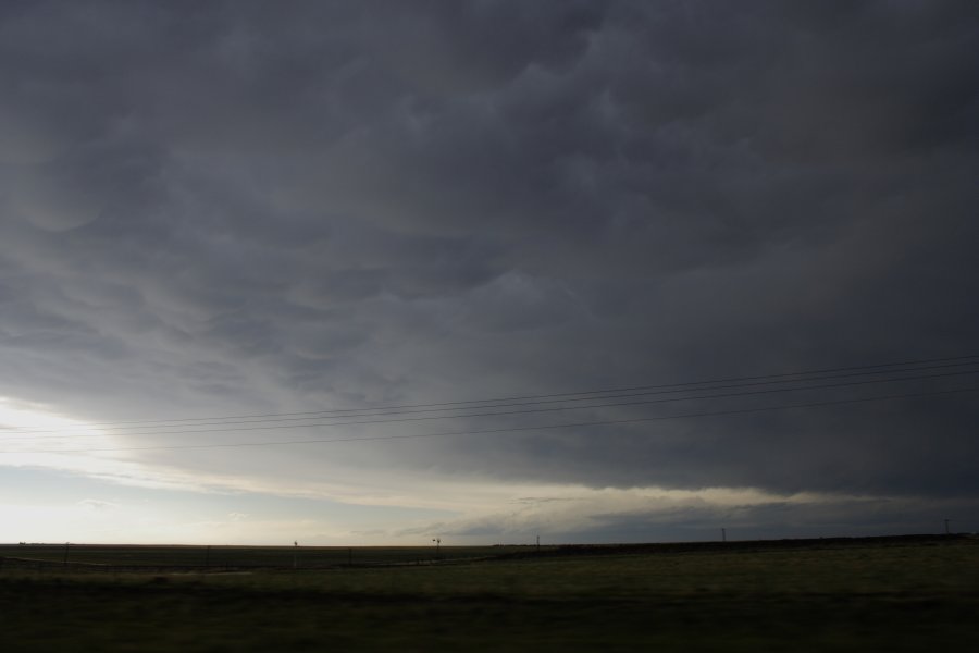 mammatus mammatus_cloud : E of Limon, Colorado, USA   31 May 2006