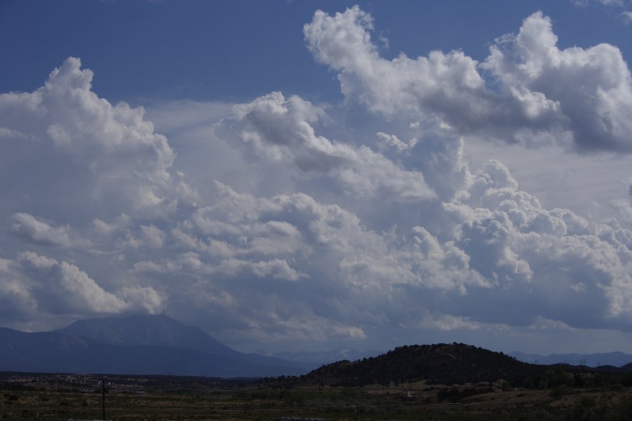 cumulus mediocris : Pueblo, Colorado, USA   1 June 2006