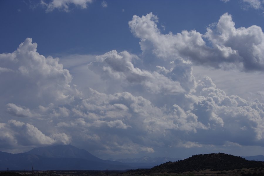 cumulus mediocris : Pueblo, Colorado, USA   1 June 2006