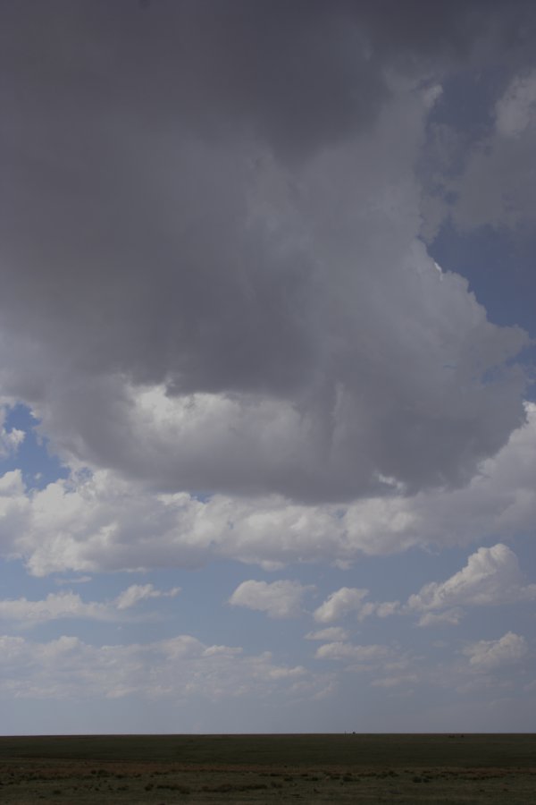 cumulonimbus thunderstorm_base : W of Clayton, Colorado, USA   2 June 2006