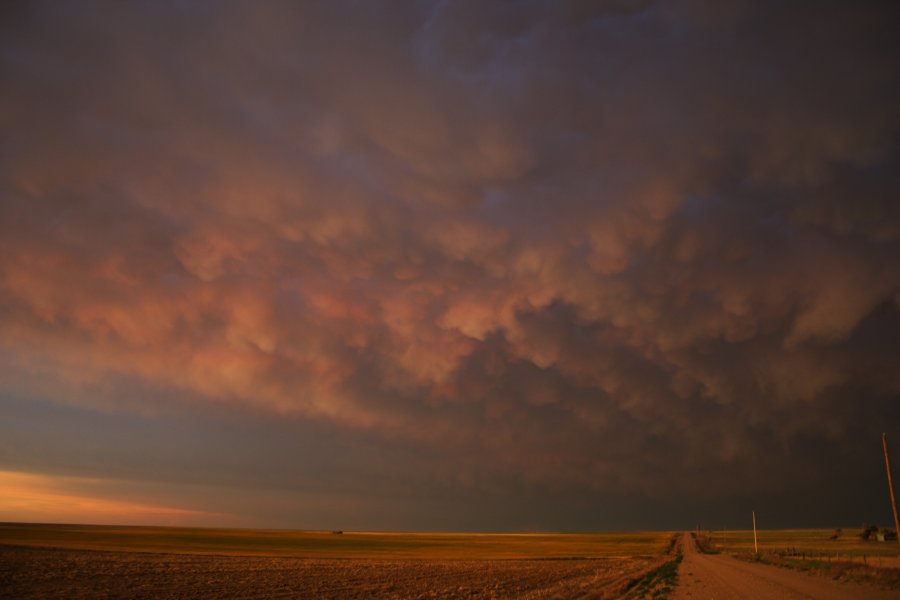 mammatus mammatus_cloud : Kit Carson, Colorado, USA   5 June 2006