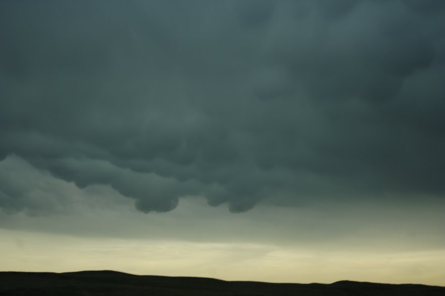 mammatus mammatus_cloud : N of Authur, Nebraska, USA   10 June 2006