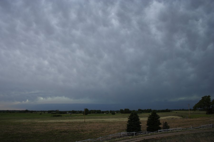 mammatus mammatus_cloud : SE of Authur, Nebraska, USA   10 June 2006