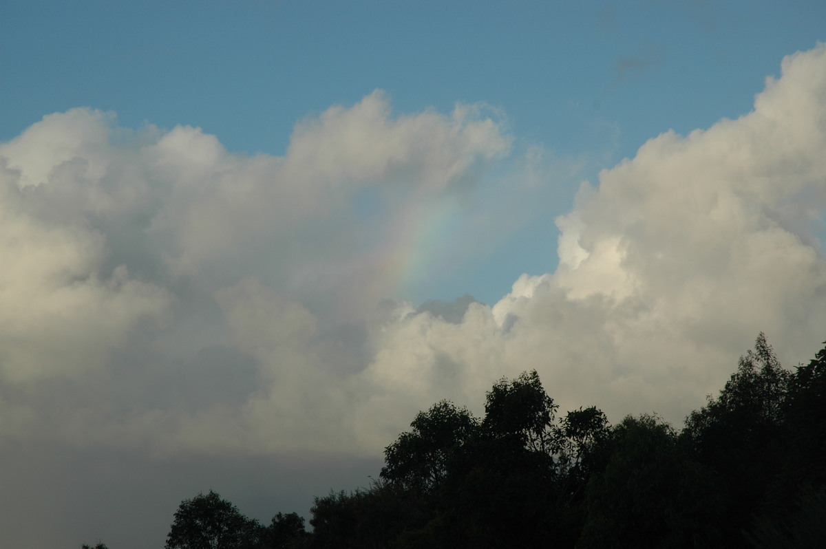 cumulus mediocris : McLeans Ridges, NSW   17 June 2006