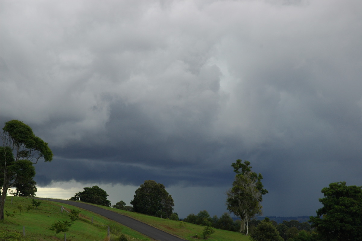 cumulonimbus thunderstorm_base : McLeans Ridges, NSW   24 June 2006