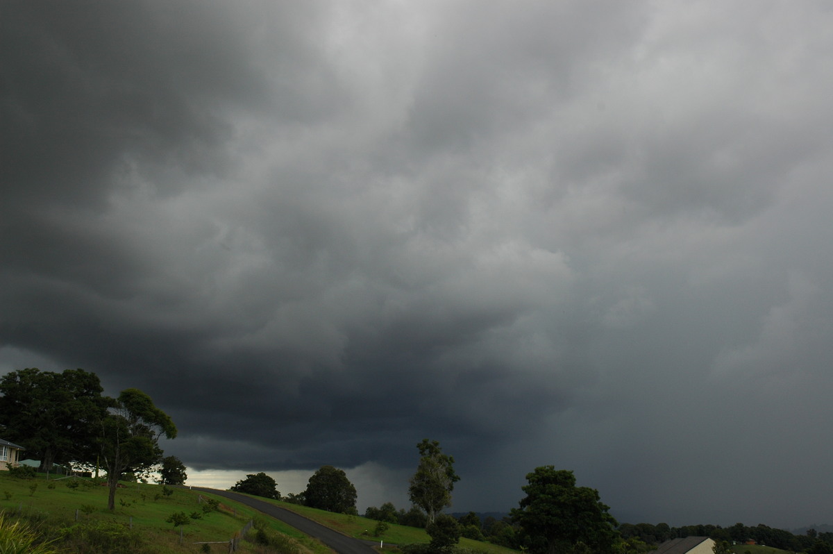 cumulonimbus thunderstorm_base : McLeans Ridges, NSW   24 June 2006