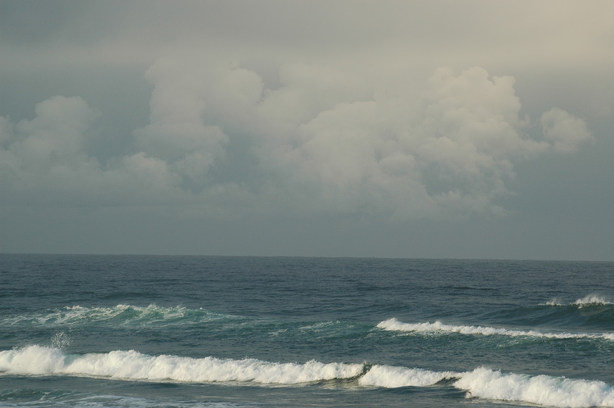 cumulus mediocris : Lennox Head, NSW   24 June 2006