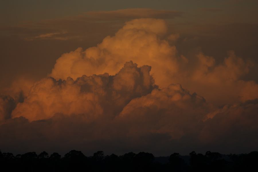 cumulus mediocris : Schofields, NSW   25 June 2006