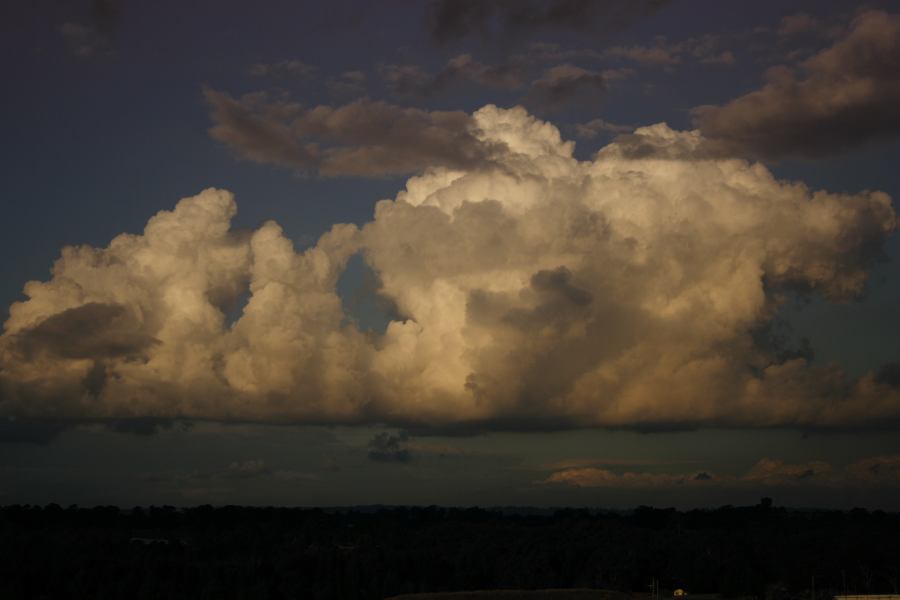 cumulus mediocris : Schofields, NSW   28 July 2006