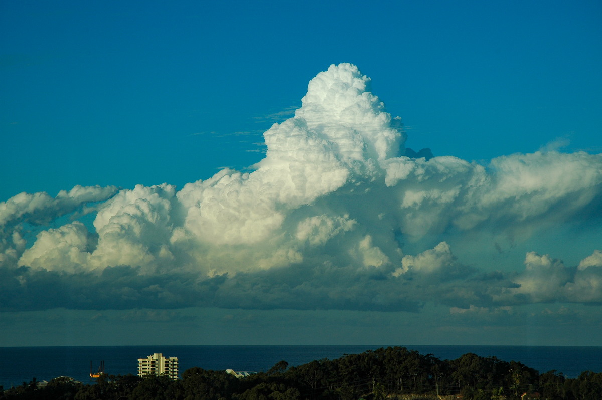 cumulus congestus : Coolangatta, QLD   3 August 2006