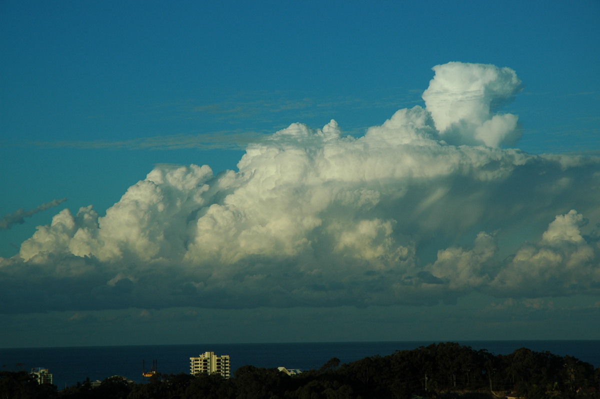 cumulus mediocris : Coolangatta, QLD   3 August 2006