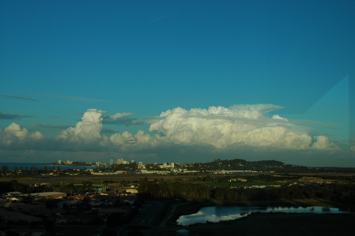 cumulus congestus : Coolangatta, QLD   3 August 2006