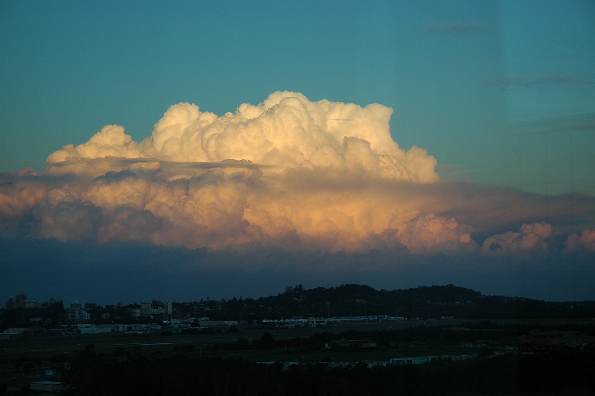 cumulus congestus : Coolangatta, QLD   3 August 2006