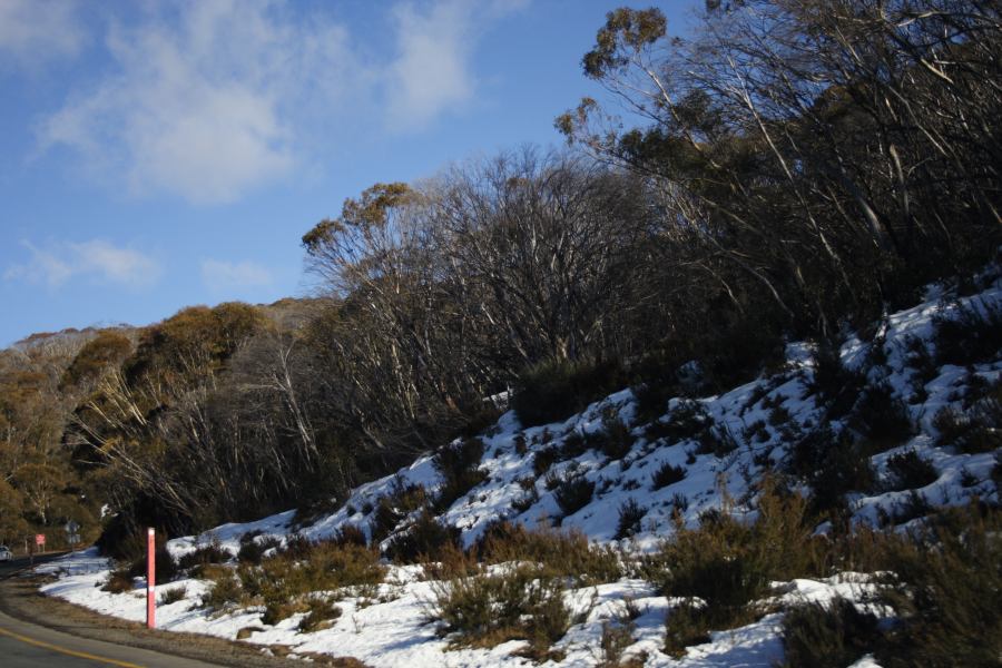 snow snow_pictures : Perisher Valley, NSW   20 August 2006