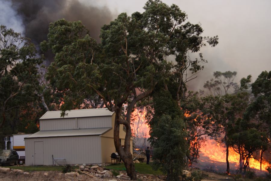 bushfire wild_fire : Pacific Park, NSW   24 September 2006