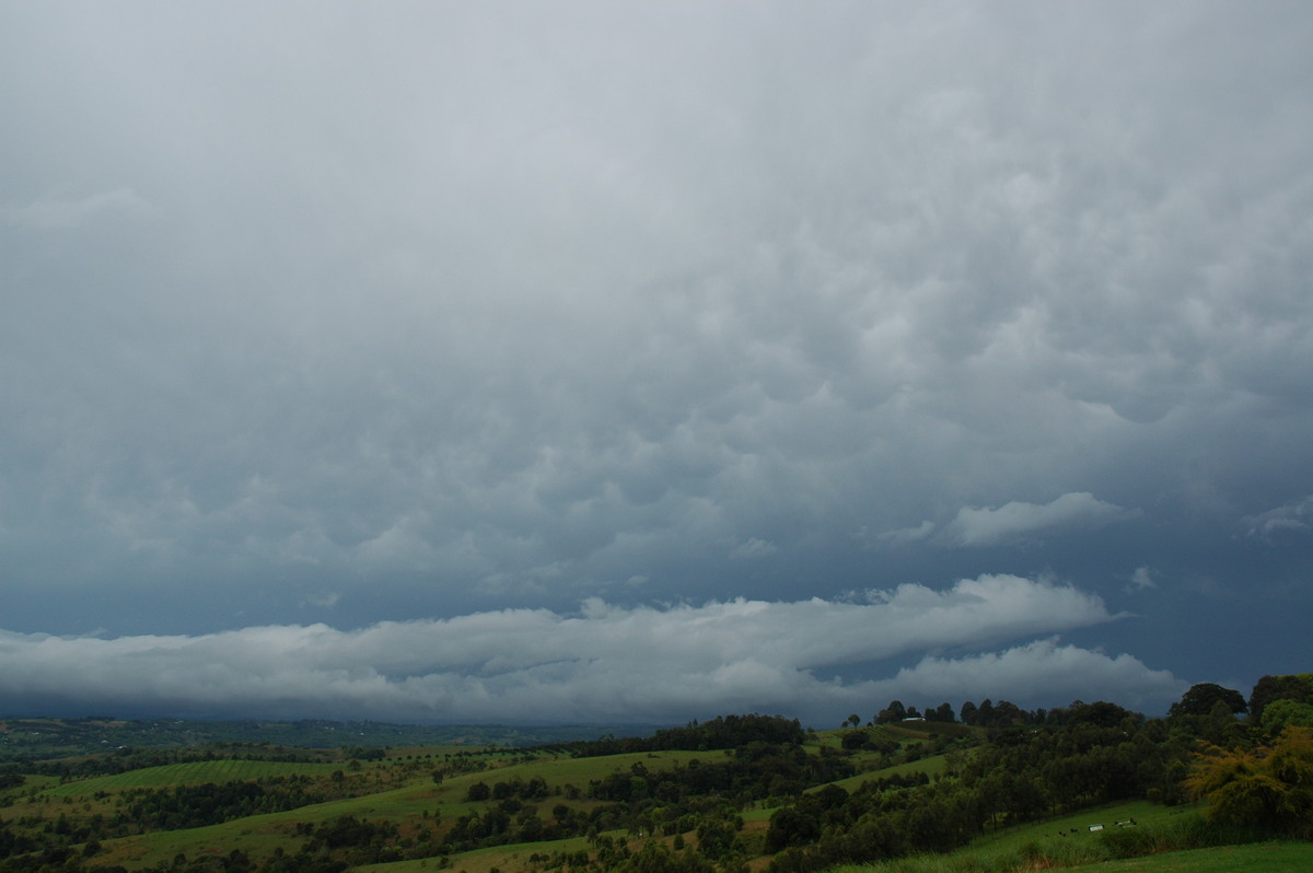 stratus stratus_cloud : McLeans Ridges, NSW   27 September 2006