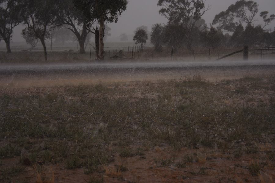 precipitation precipitation_rain : Walcha, NSW   19 October 2006