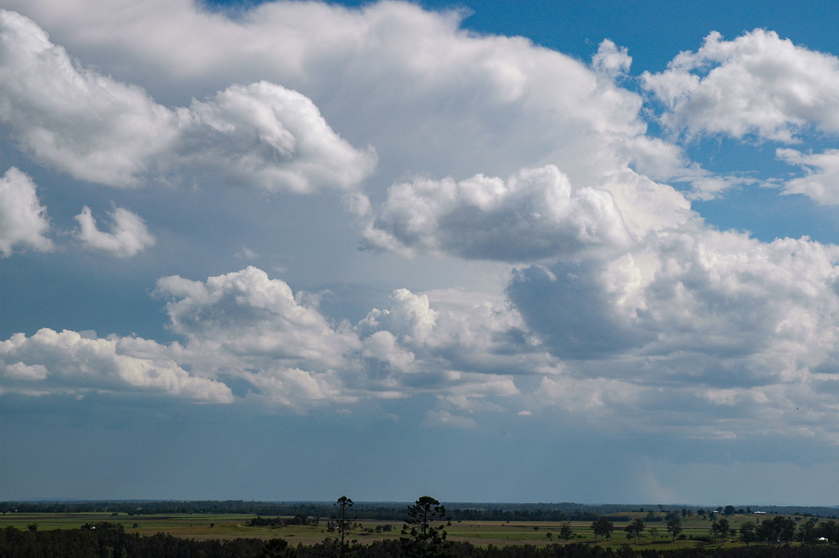 cumulus mediocris : Parrots Nest, NSW   1 November 2006