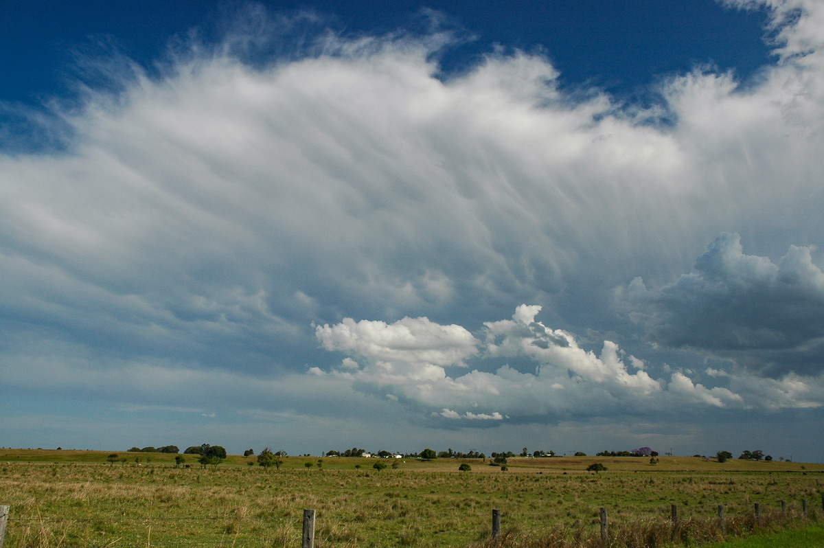 mammatus mammatus_cloud : McKees Hill, NSW   1 November 2006