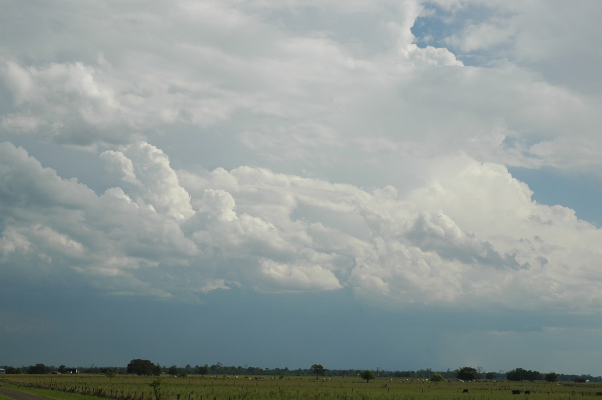 cumulonimbus thunderstorm_base : McKees Hill, NSW   1 November 2006