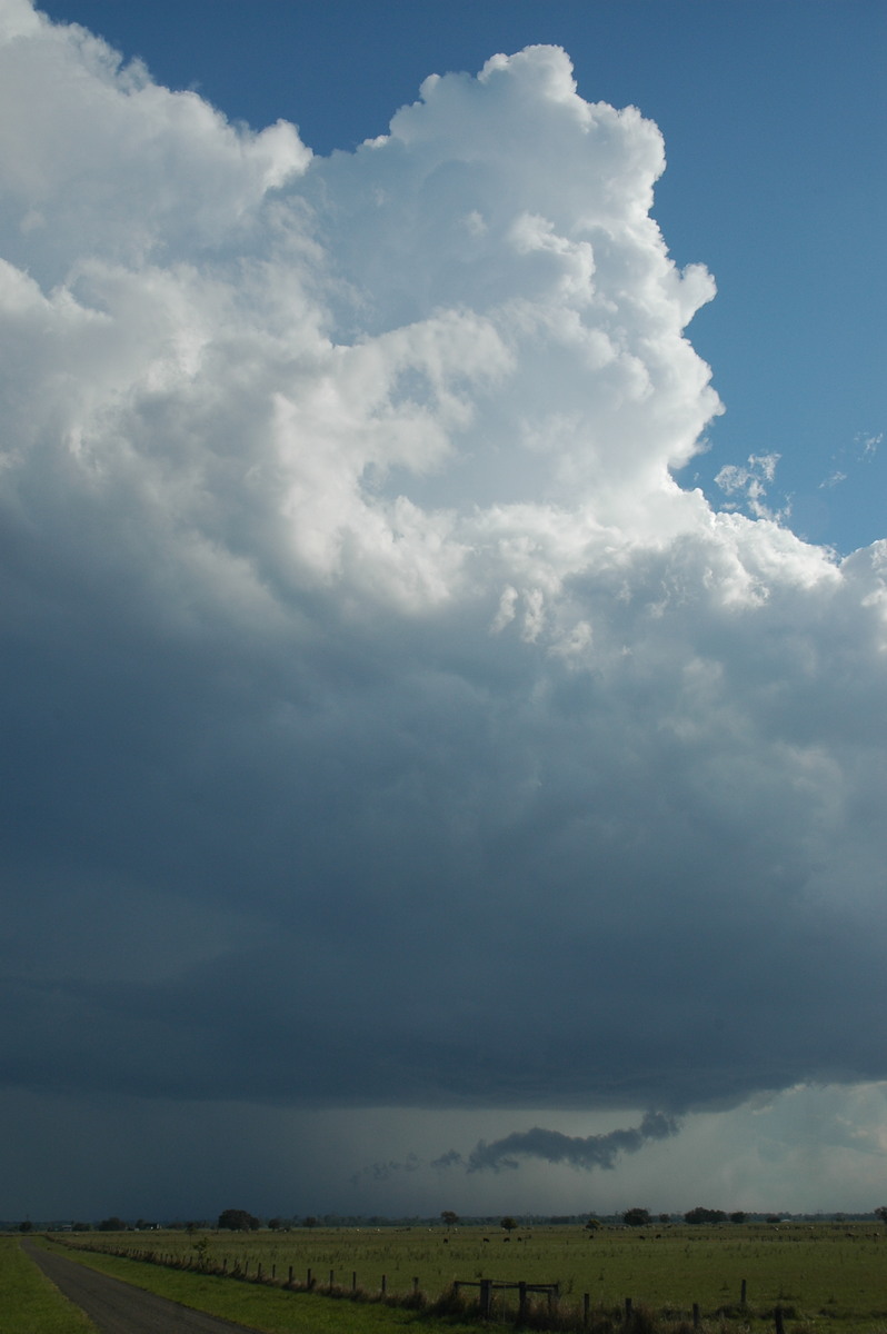 cumulonimbus thunderstorm_base : McKees Hill, NSW   1 November 2006