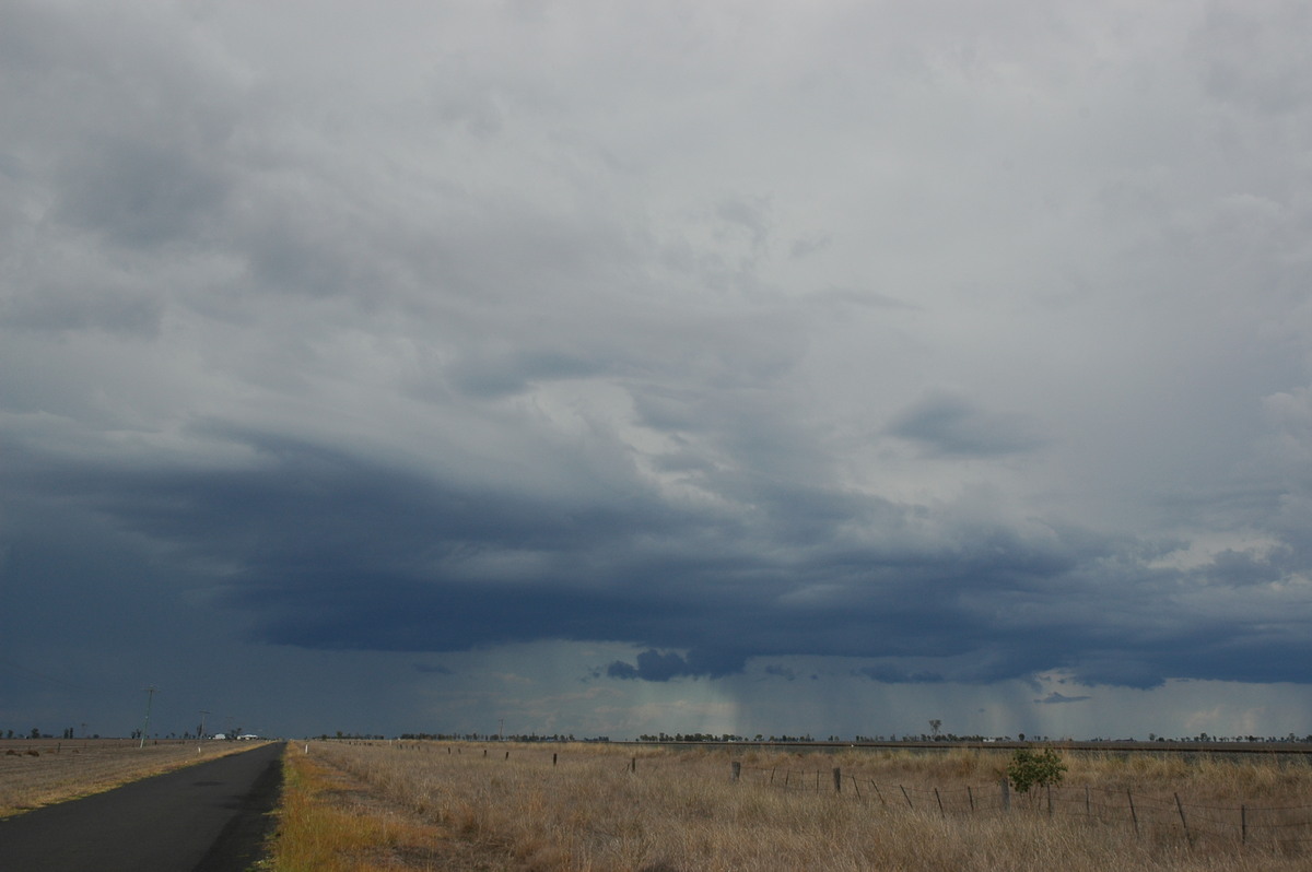 cumulonimbus thunderstorm_base : Dalby, QLD   4 November 2006