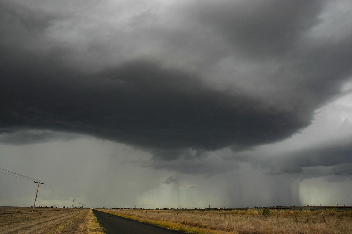 cumulonimbus thunderstorm_base : Dalby, QLD   4 November 2006
