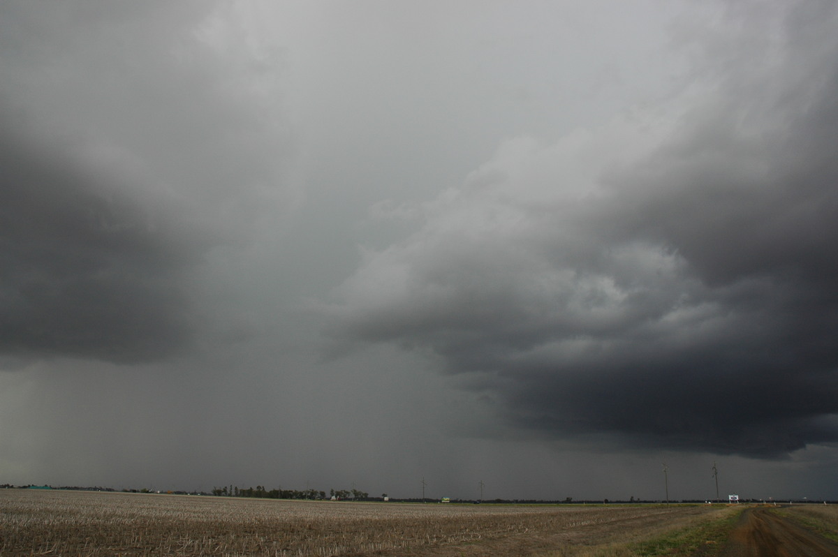 raincascade precipitation_cascade : Dalby, QLD   4 November 2006