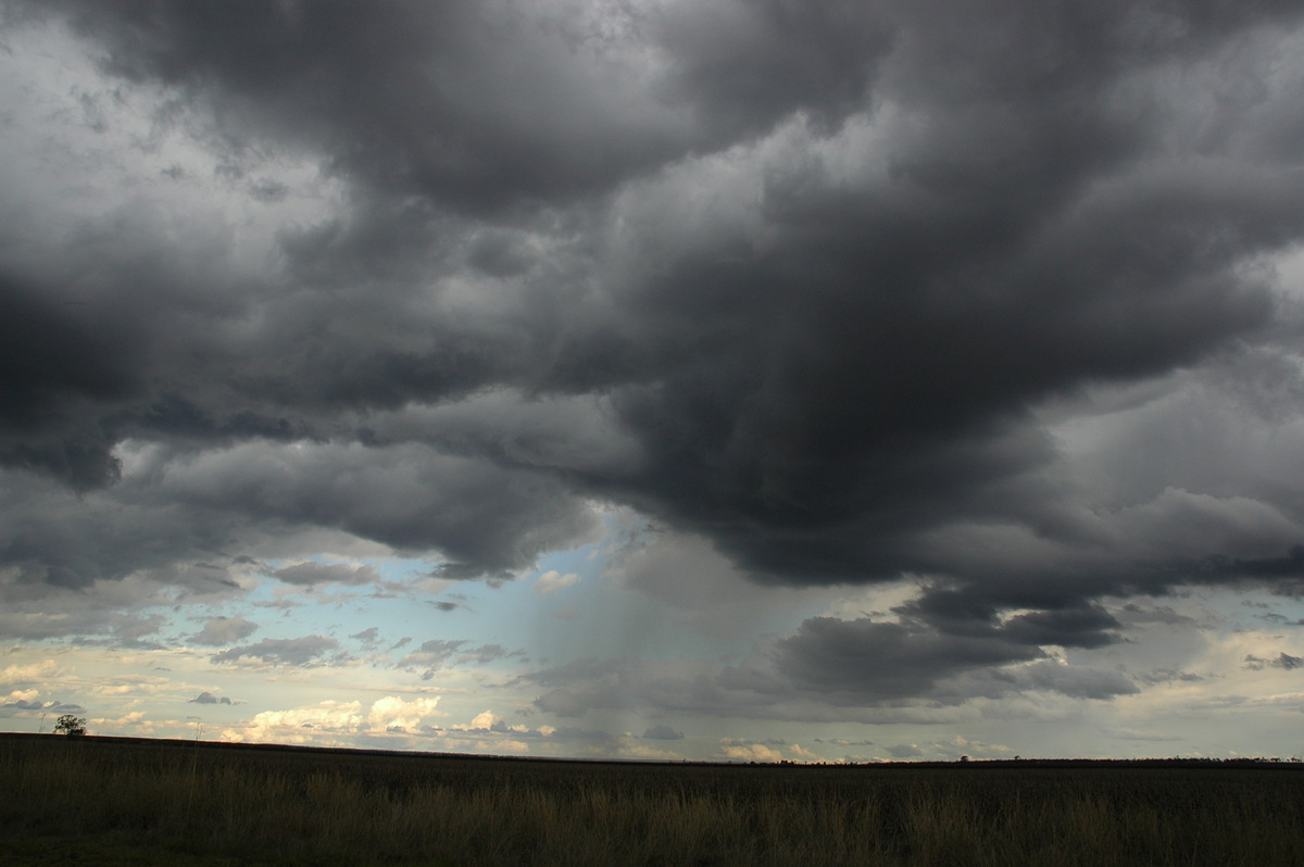 cumulonimbus thunderstorm_base : near Dalby, QLD   4 November 2006