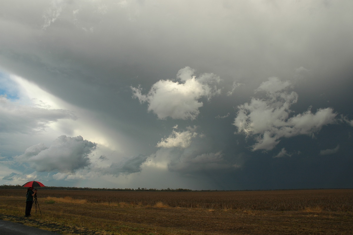 anvil thunderstorm_anvils : SE of Dalby, QLD   4 November 2006