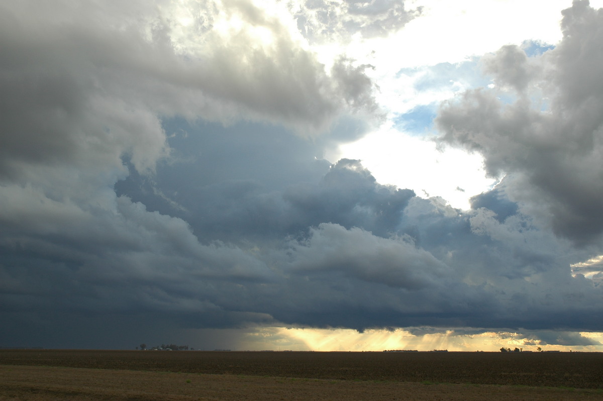 cumulonimbus thunderstorm_base : SE of Dalby, QLD   4 November 2006