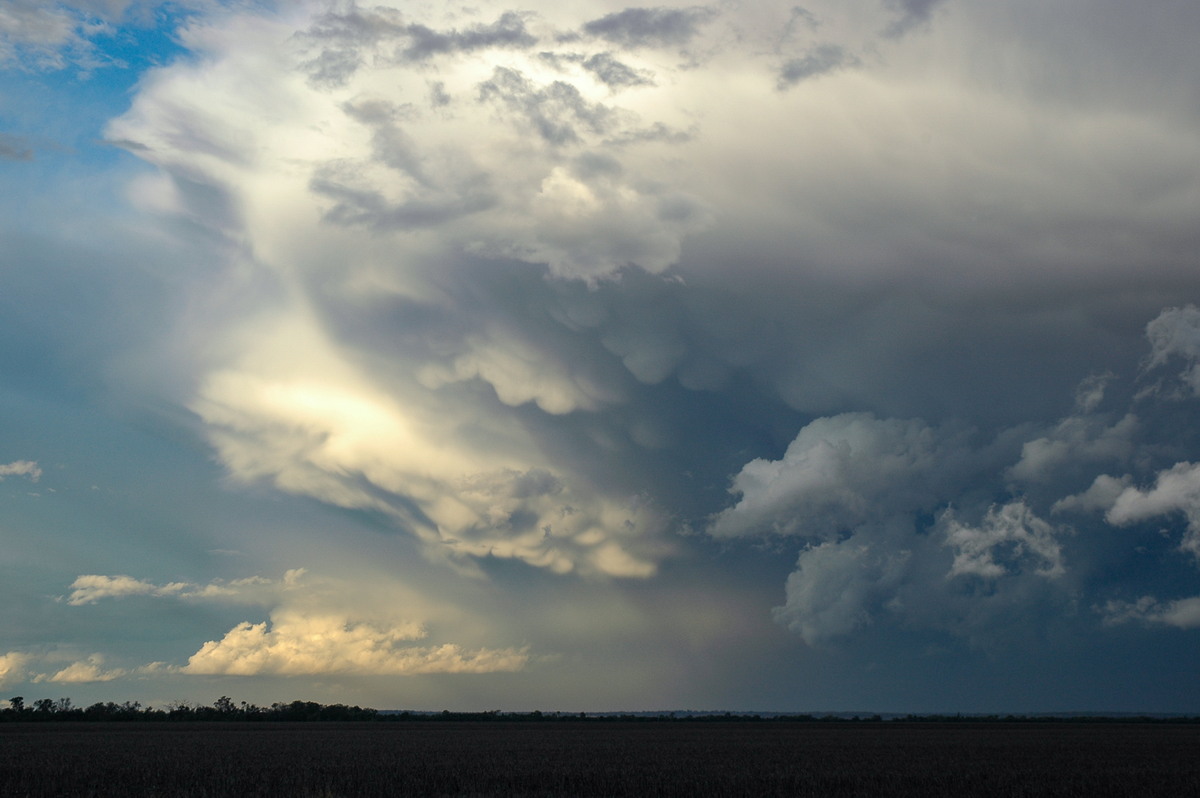 thunderstorm cumulonimbus_incus : SE of Dalby, QLD   4 November 2006