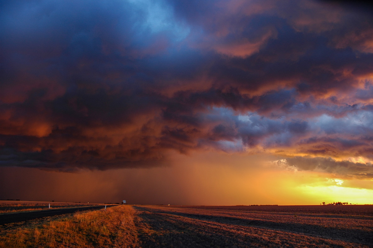 cumulonimbus thunderstorm_base : SE of Dalby, QLD   4 November 2006